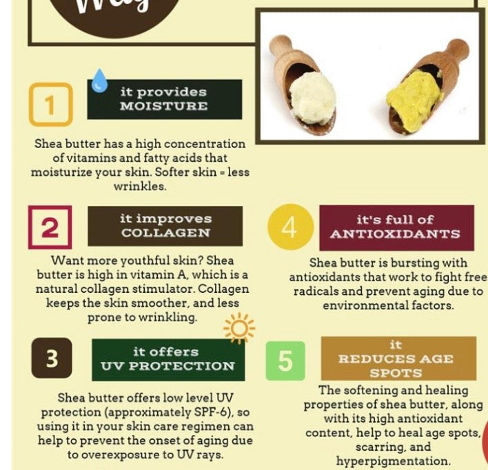 Organic Shea Butter - 4oz