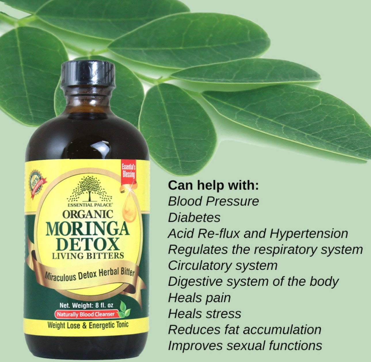 Moringa Detox Living Bitter - 16 oz